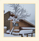 Pictures from Rhodope Mountain
