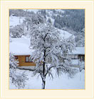 Pictures from Rhodope Mountain
