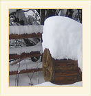 Pictures from Rhodope Mountain