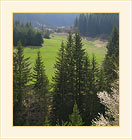 Pictures from Rhodope Mountain