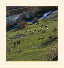 Pictures from Rhodope Mountain